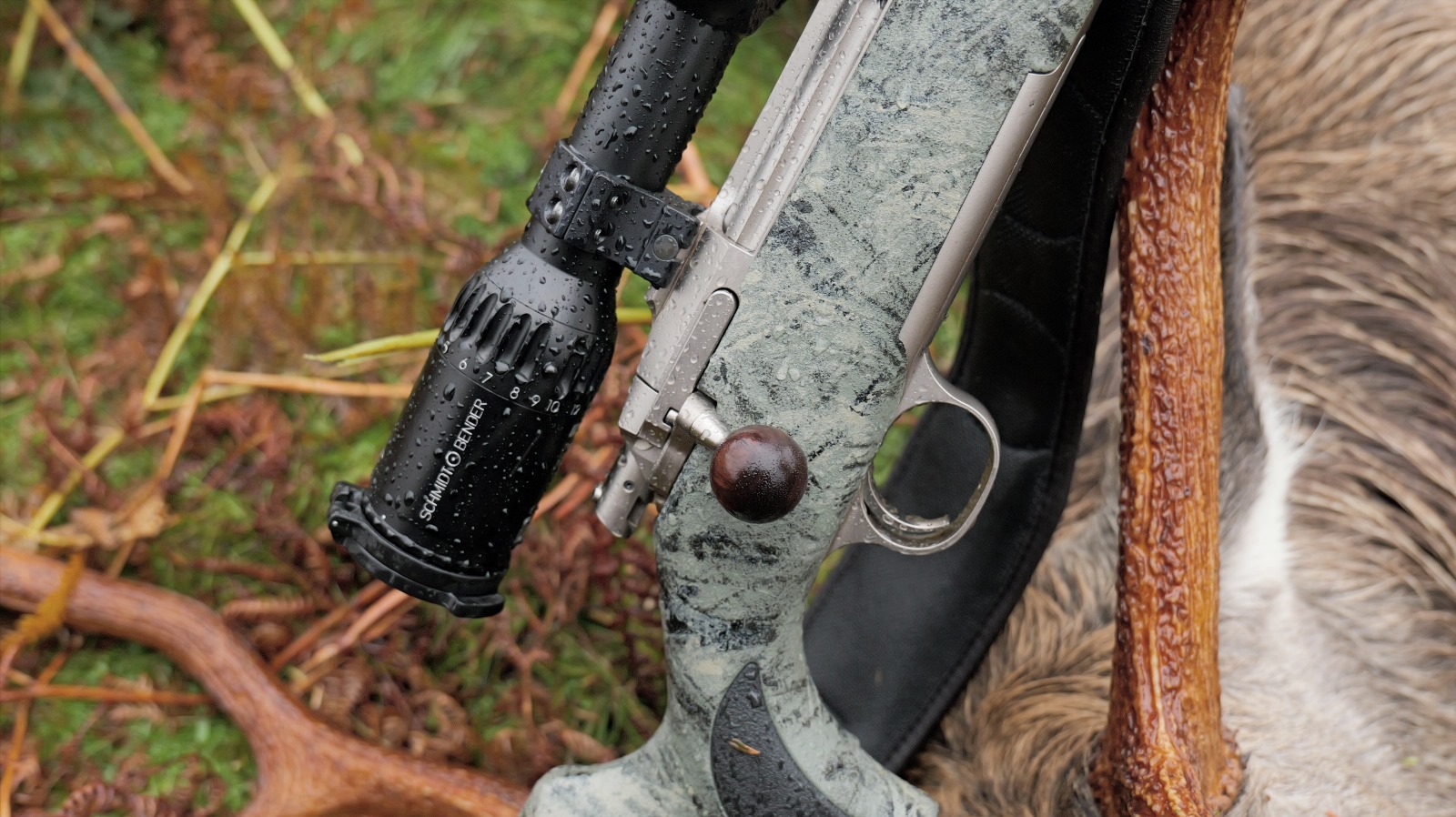 Featured Harkness collection image